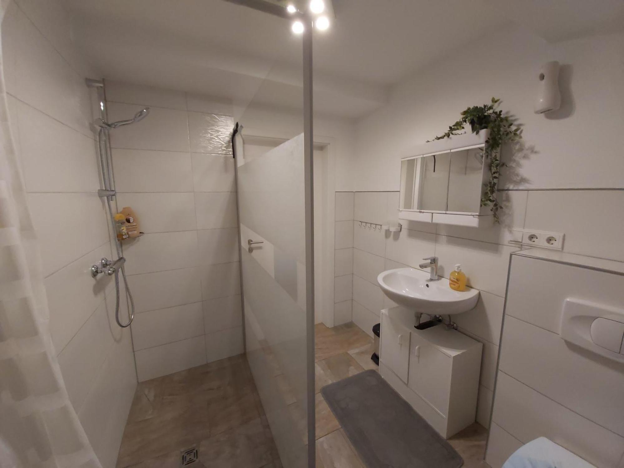Appartement Albi Haus Winterberg Extérieur photo