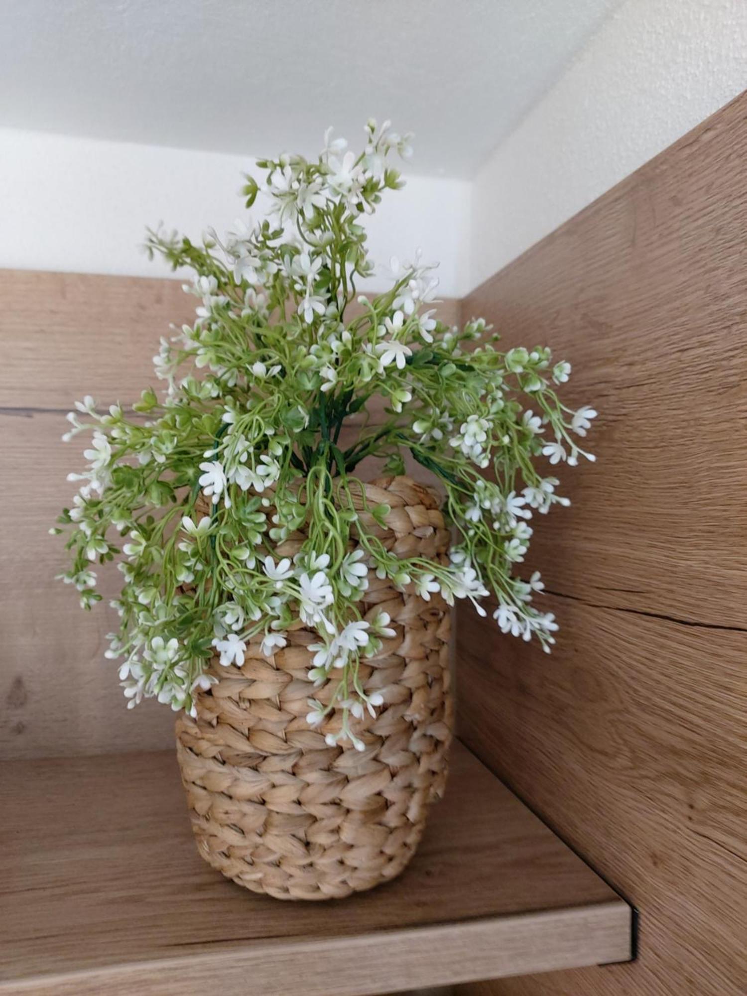Appartement Albi Haus Winterberg Extérieur photo